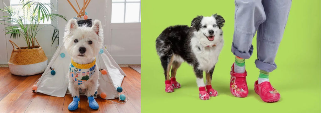 Pets e Calçados, Calçados como Símbolo da Evolução no Cuidado.