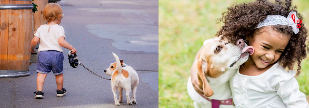 Crianças interagindo com cães.