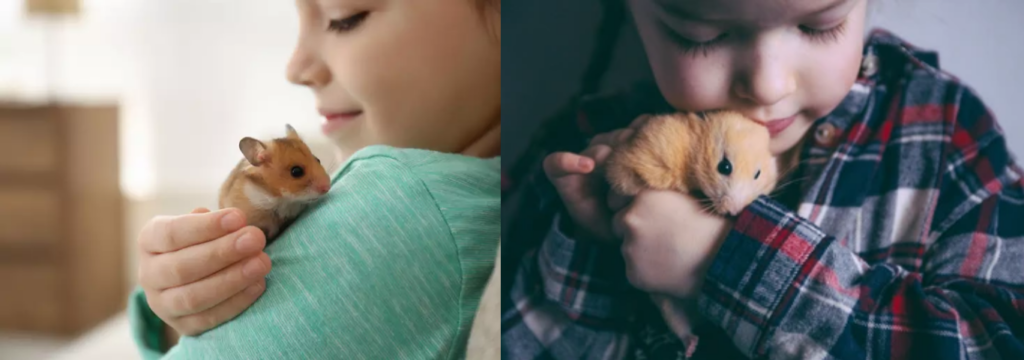 Crianças segurando hamsters nas mãos.