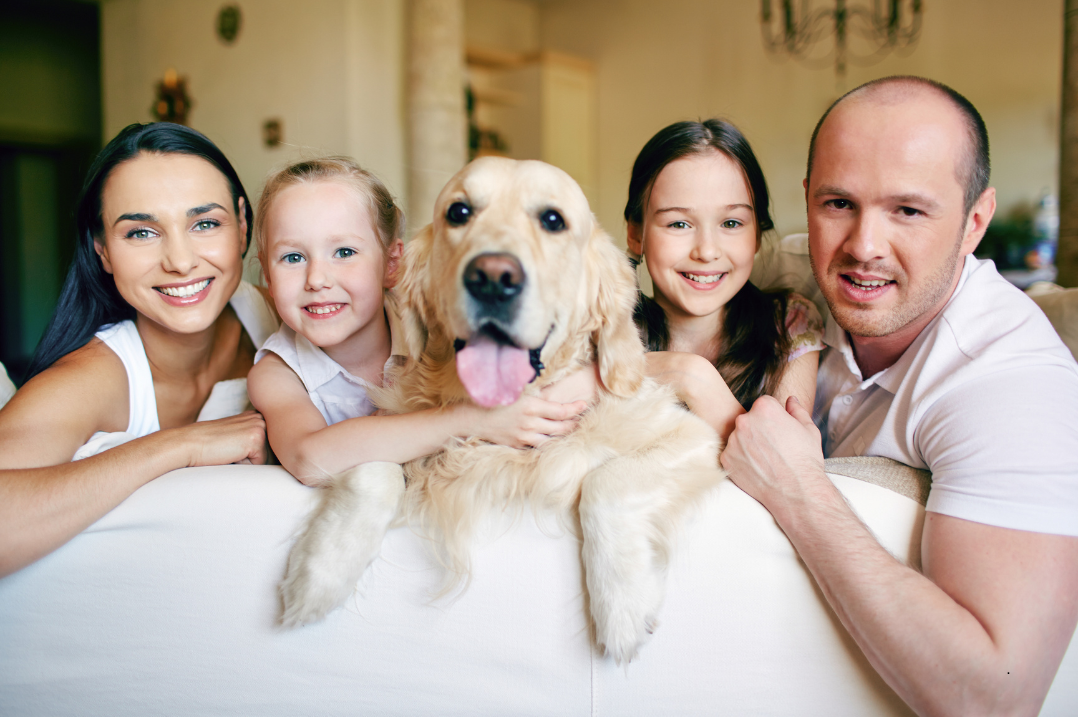 Leia mais sobre o artigo Pets na Vida dos Humanos, Como Ganharam Espaço ao Longo do Tempo.