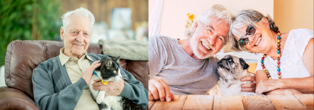 Dicas para uma convivência saudável entre Idosos e pets. A Importância dos pets como companhia para pessoas idosas.