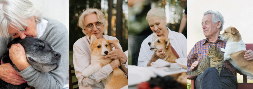 Impacto dos pets: A Importância dos pets como companhia.