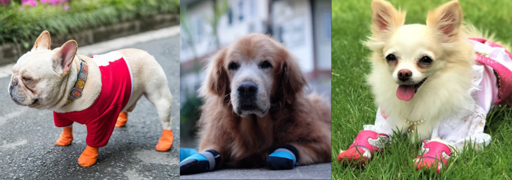 Critérios para a indicações, Assim, como os veterinários atuais estão vendo. 