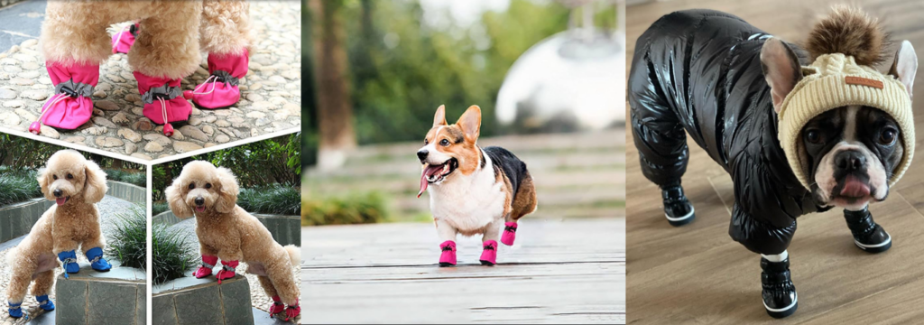 Orientação para tutores, Como os veterinários atuais estão vendo.