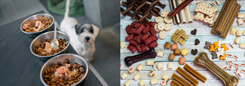 Alimentação natural, Inovação na alimentação natural para pets