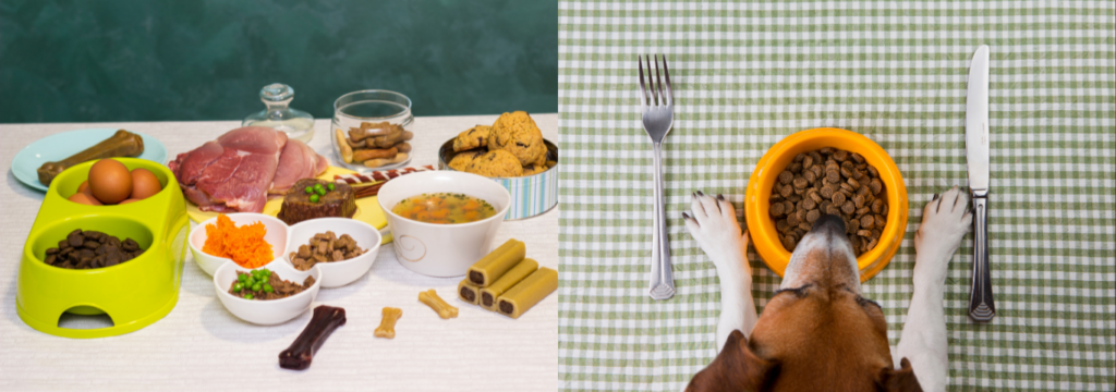 Inovação na alimentação, Inovação na alimentação natural para pets.