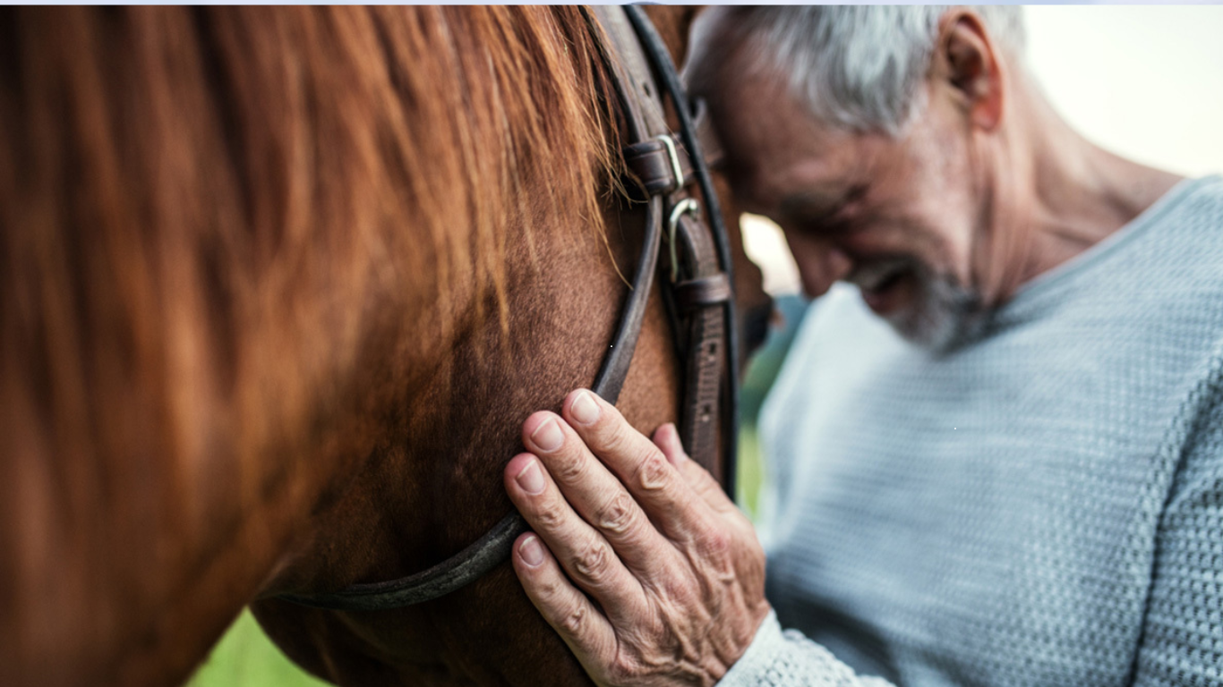 No momento, você está visualizando Equoterapia Para Idosos: Com os Cavalos.