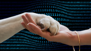 Leia mais sobre o artigo O Que nos Reserva o Futuro dos Cuidados com os Pets.