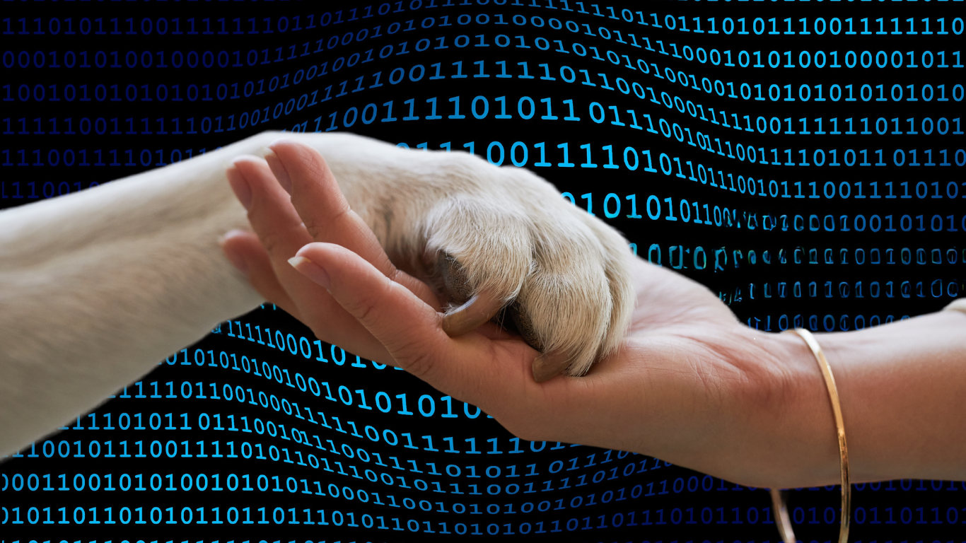 Leia mais sobre o artigo O Que nos Reserva o Futuro dos Cuidados com os Pets.