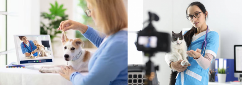 Consultas Online, O Que nos Reserva o Futuro dos Cuidados com os Pets.