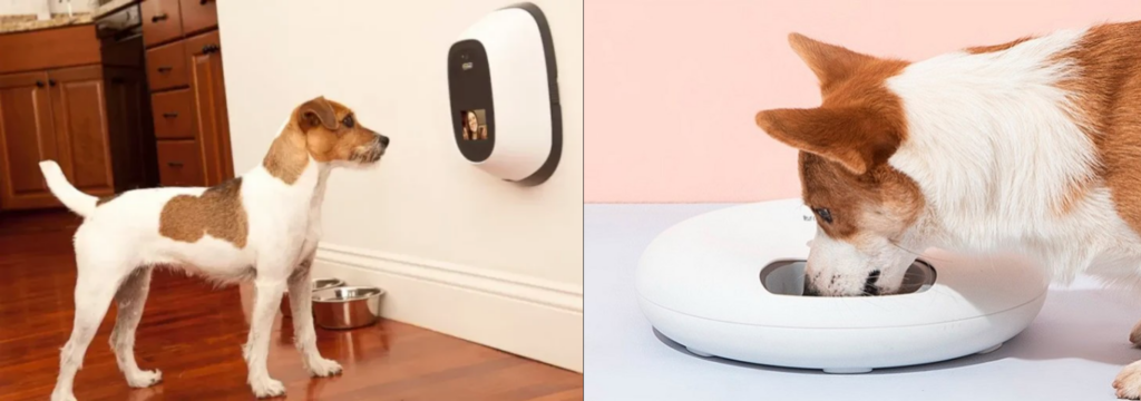 Monitoramento em tempo real, O Que nos Reserva o Futuro dos Cuidados com os Pets.