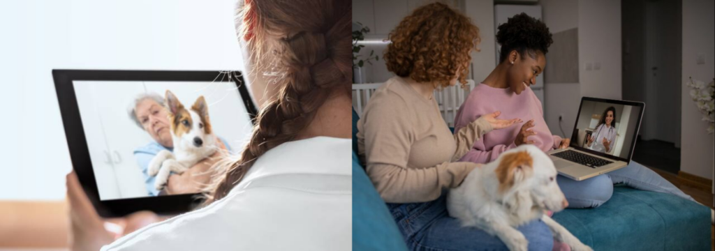 tutores em seus atendimentos online, Telemedicina Veterinária: A Revolução Digital.