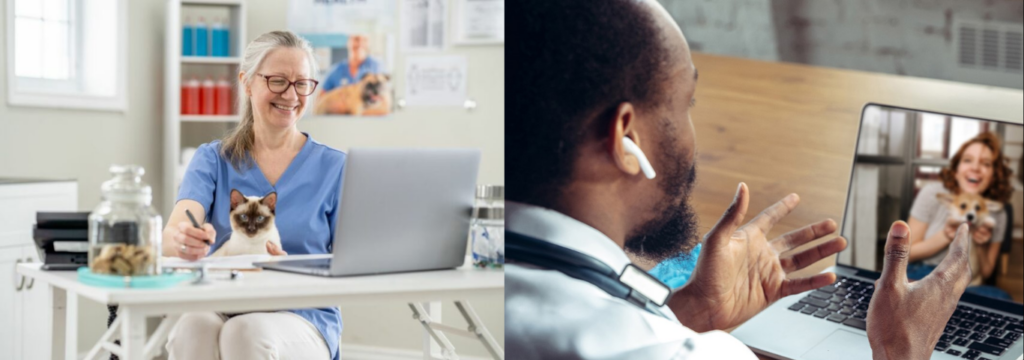 A praticidade no atendimento a distância, Telemedicina Veterinária: A Revolução Digital.