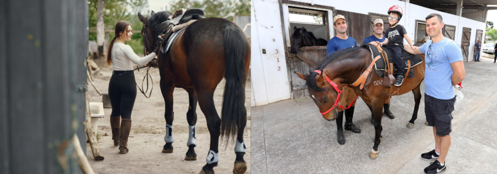 Benefícios emocionais, Equoterapia: Como a Terapia com Cavalos Revoluciona.