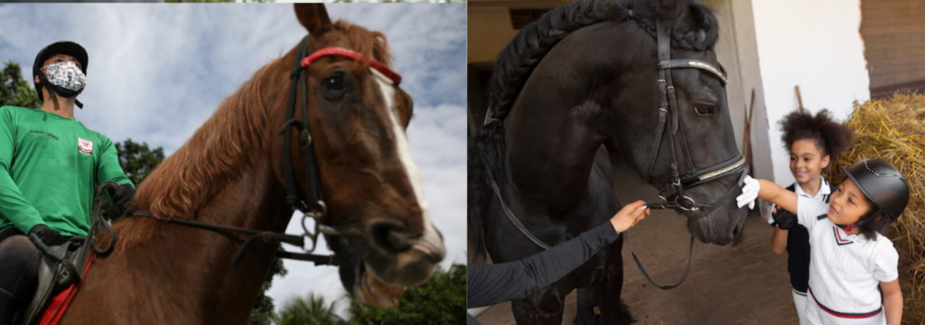 Impactos físicos, Equoterapia: Como a Terapia com Cavalos Revoluciona.