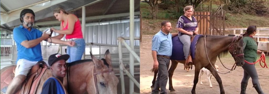 Á importância da Equoterapia Para Idosos: Com os Cavalos.