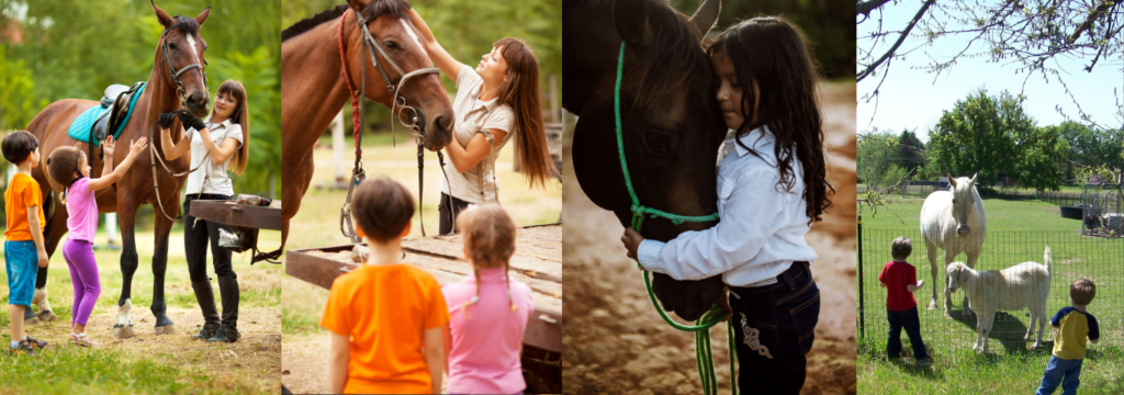 Cavalos terapia para crianças, com O Poder Transformador da Equoterapia.