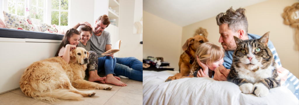 Família e pets
