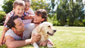 Leia mais sobre o artigo Qual a importância dos pets nas famílias.
