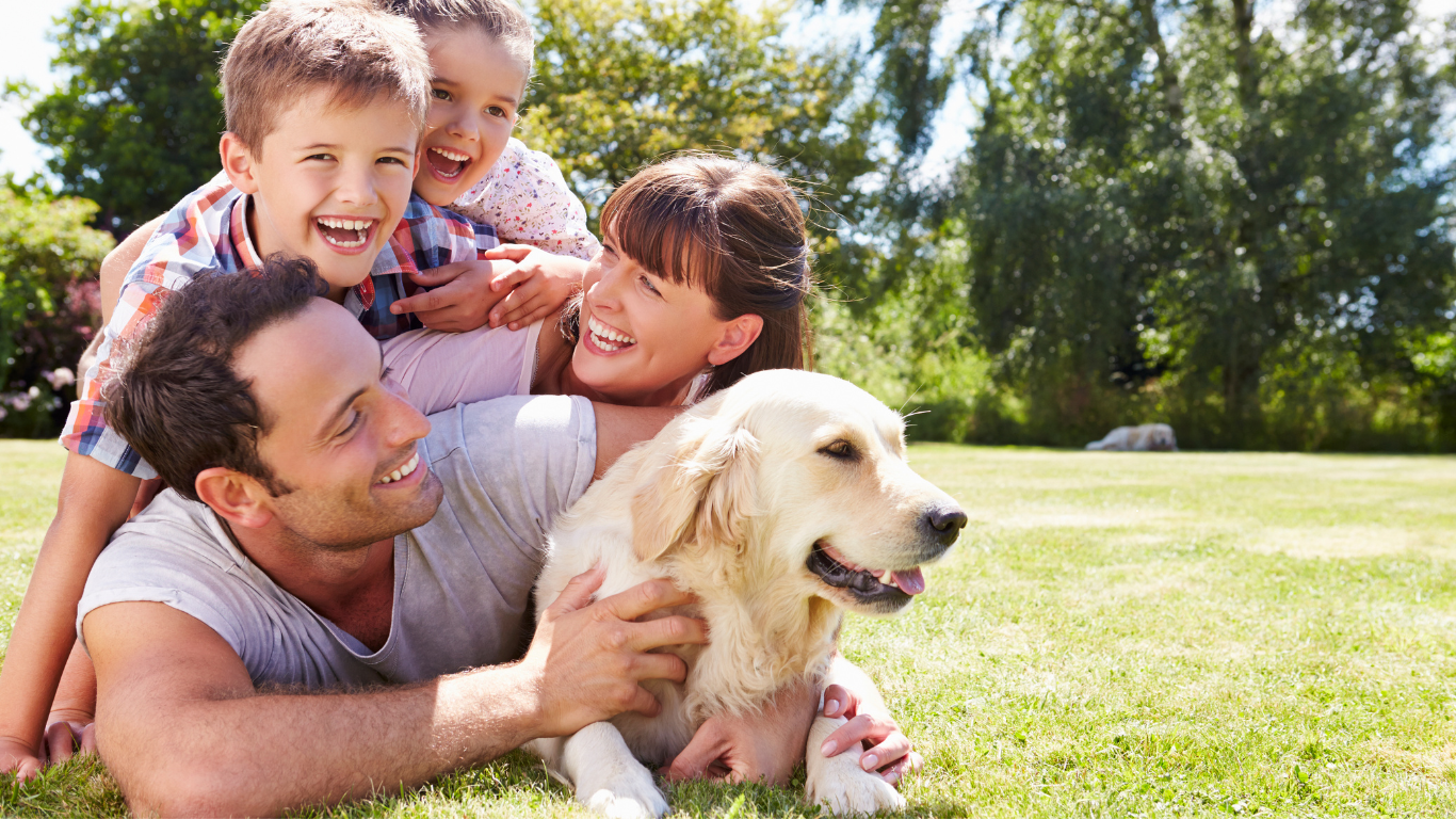 No momento, você está visualizando Qual a importância dos pets nas famílias.